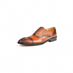 Formelle Herre Sko Elegance Crocodile Texture Oxford Dress Shoes