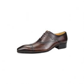 Formelle Herresko Deluxe Oxford Lavishnuptial Brogues