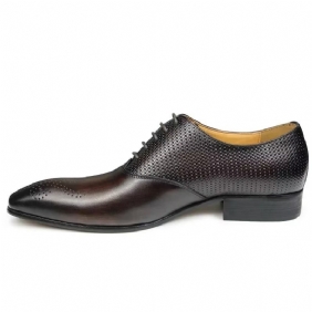 Formelle Herresko Ekte Skinn Elegante Bryllup Brogue Sko