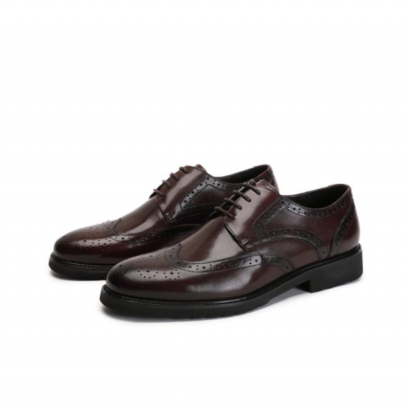 Formelle Herresko Wingtip Luxury Exotic Spiss Tå Oxford Brogues - Kaffe