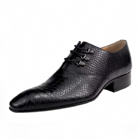 Formelle Sko Herre Bryllup Brogues