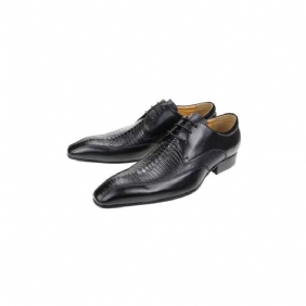 Formelle Sko Herre Elegant Krokodilleskinn Luksus Brogue Oxford