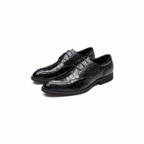 Formelle Sko Herre Luksus Crocgloss Classic Brogue Dress