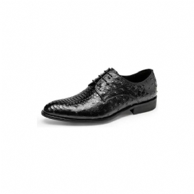 Formelle Sko Herre Luksus Croctex Derbies Dress