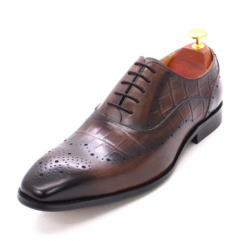 Formelle Sko Herre Luksus Krokodilleskinn Brogue Oxford Dress - Kaffe