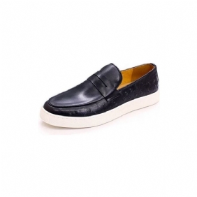 Herre Fritidssko Eksotiske Skinn Elegante Slip-on Sko