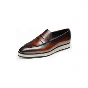 Loafers Herre Eksotiske Spisse Brogues