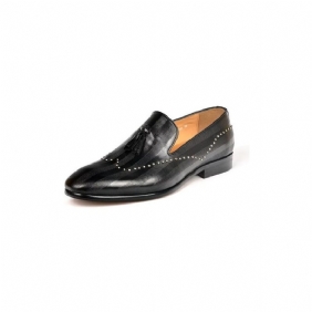 Loafers Herre Exotic Tassel