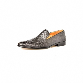 Loafers Herre Luksuriøse Croctex-slip-on-loafers Med Spiss Tå