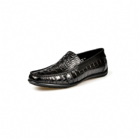 Loafers Herre Luksus Krokodilleskinn Daily Business Slip On