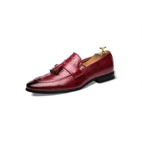 Loafers Herre Overdådige Croctassel Exotic Oxford