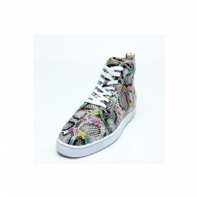 Sneakers Herre Snakeskin Chic Multicolor High Top Vanntette Sko